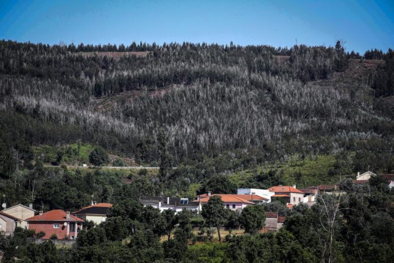 Reconstrução de casas ardidas há oito anos em Pedrógão Grande esteve suspensa por falta de pagamento