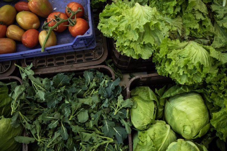Exportações de frutas, legumes e flores sobem 9,2% para mais de 1.288 ME no 1.º semestre