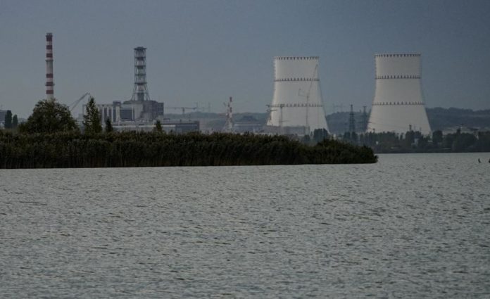 43530845.jpg