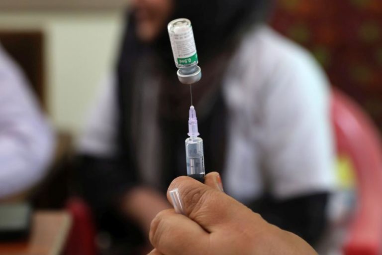 Província moçambicana precisa de 120 mil doses de vacina para combater febre aftosa