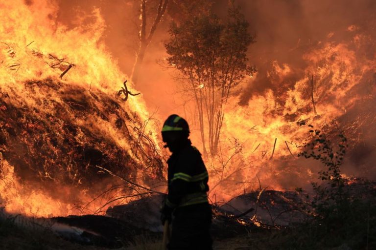Governo estima em 20 ME as despesas extraordinárias dos bombeiros
