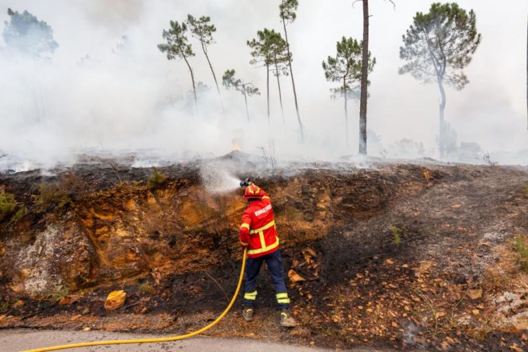 Fogo em Penafiel que alastrou a Gondomar em resolução