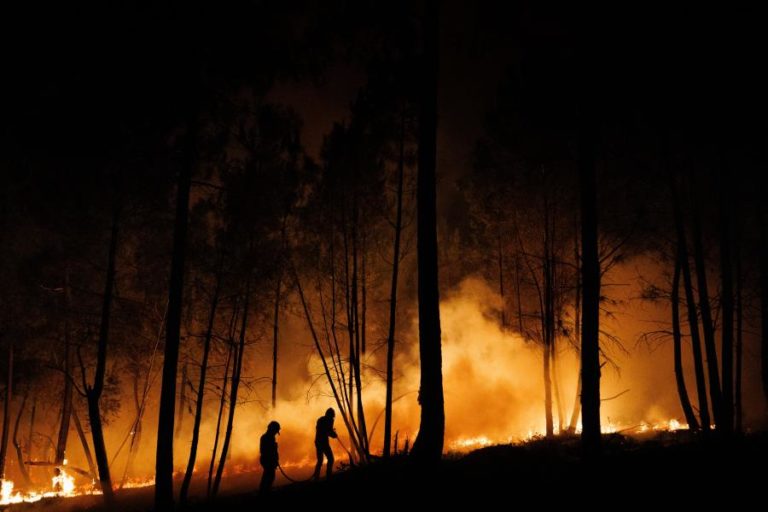 Autarca de Mondim de Basto diz que aldeias de Pardelhas e Ermelo estão em risco