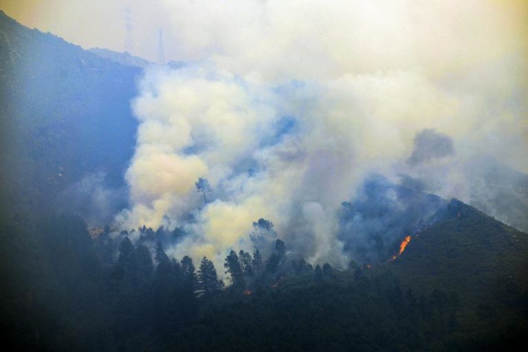 Serra do Alvão atingida por novo incêndio em Alvadia em Ribeira de Pena