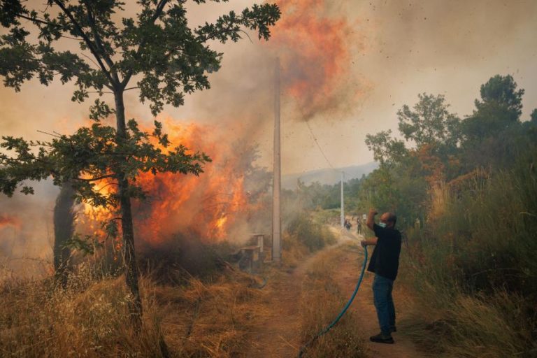 Proteção Civil registou 77 incêndios até às 17:00 envolvendo 1.697 operacionais