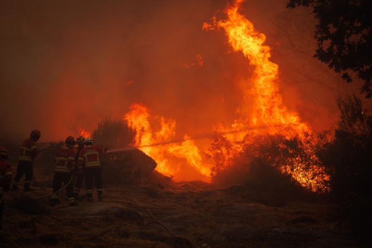 Mais de 100 concelhos do interior Norte e Centro e Algarve em risco máximo de incêndio