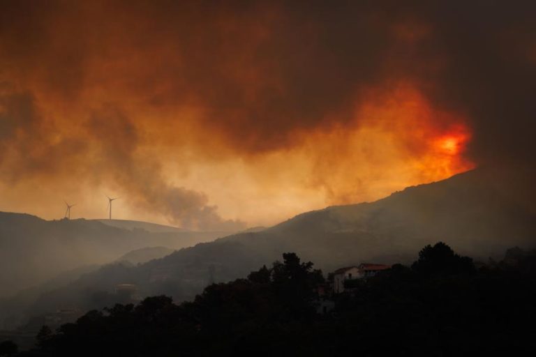 Cerca de 3.000 hectares de área ardida em Vila Real e Mondim de Basto