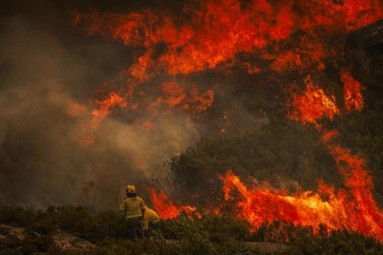 Seis meios aéreos ajudam combate na serra do Alvão em Vila Real