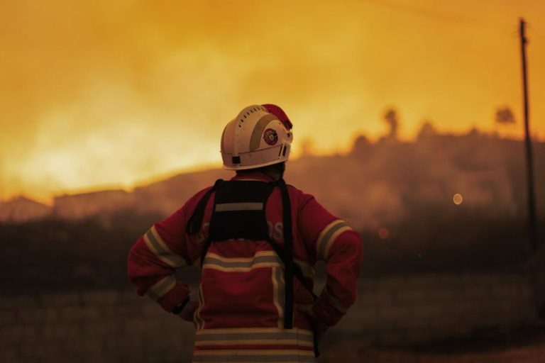 Mais de 110 concelhos do interior Norte e Centro e Algarve em risco máximo de incêndio