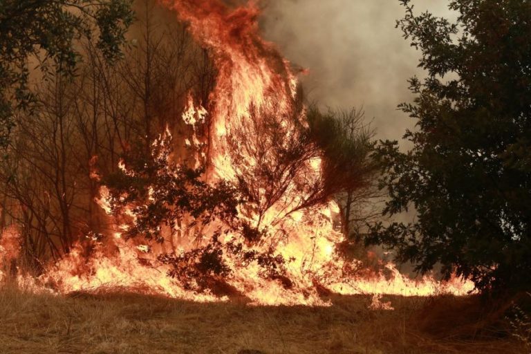 Mais de 1.700 operacionais combatiam pelas 23:00 quatro incêndios mais preocupantes