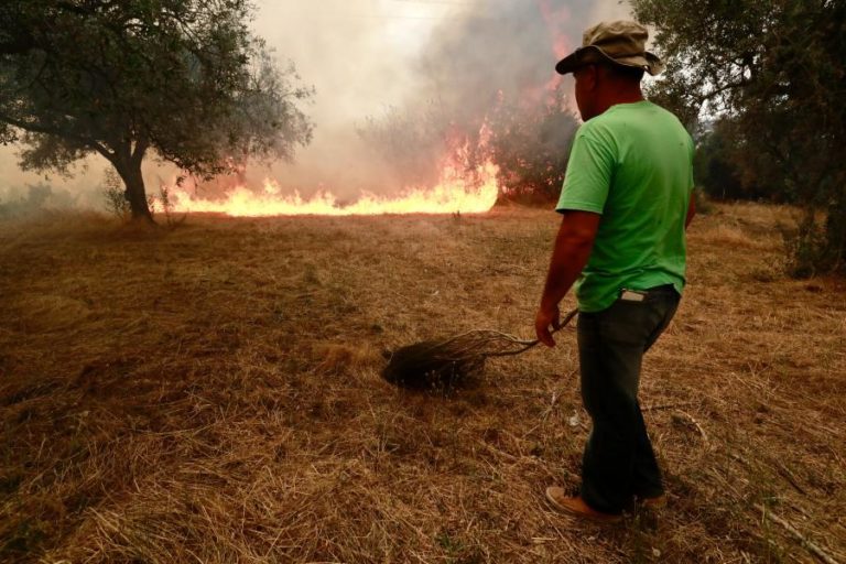 Fogo de Trancoso mantém quatro frentes ativas