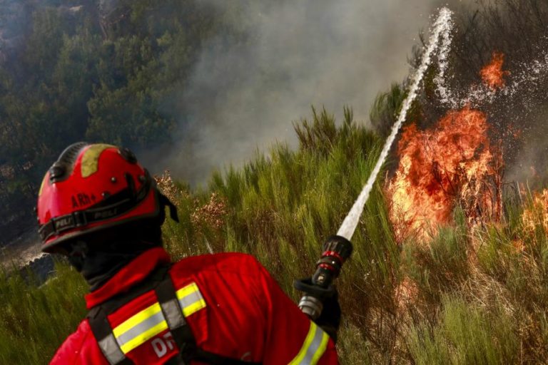 Mais de 40 concelhos em perigo máximo de incêndio