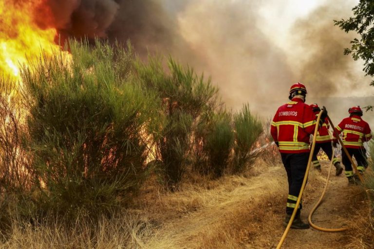 Cerca de 1.700 operacionais combatem incêndios mais preocupantes pelas 04:15
