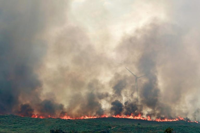 Governo já recebeu cinco mil pedidos de ajuda devido aos incêndios, cinco vezes mais do que em 2024