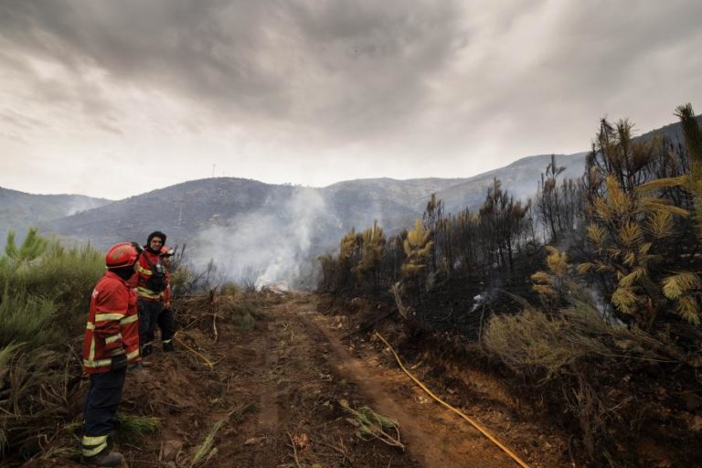 Testeira em alerta pelo fogo que começou há 11 dias na serra do Alvão