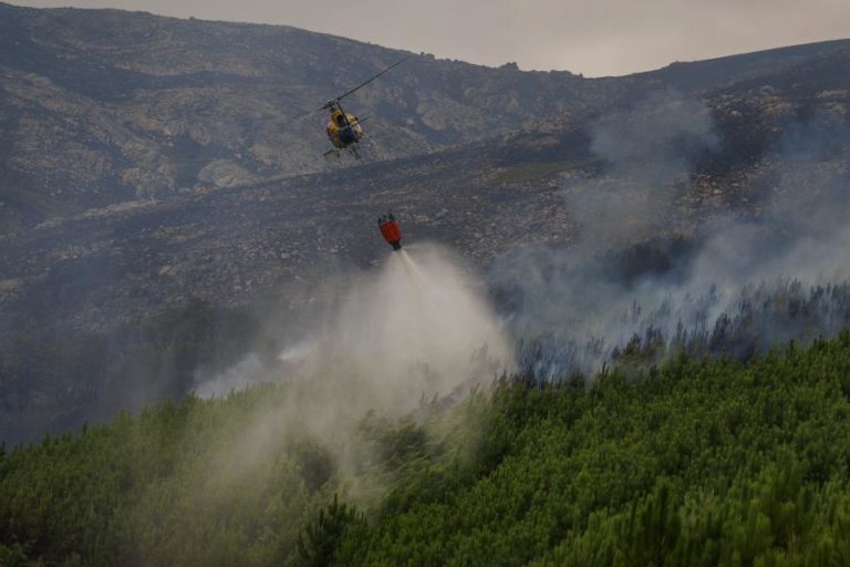 Mais de 20 concelhos de cinco distritos em perigo máximo de incêndio