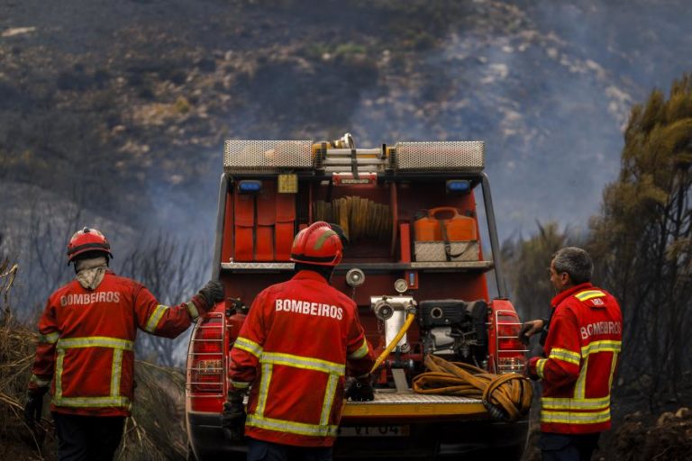 Mais de 3.300 operacionais combatiam sete principais fogos rurais às 05:30