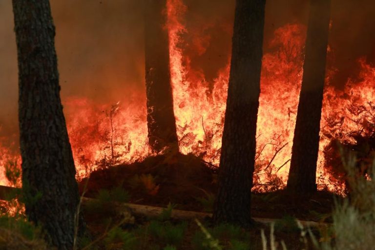 Fogo em Ermidas-Sado consumiu perto de 600 hectares de floresta