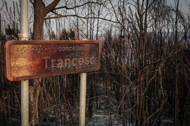 Complexo do fogo Sátão/Trancoso entra em resolução