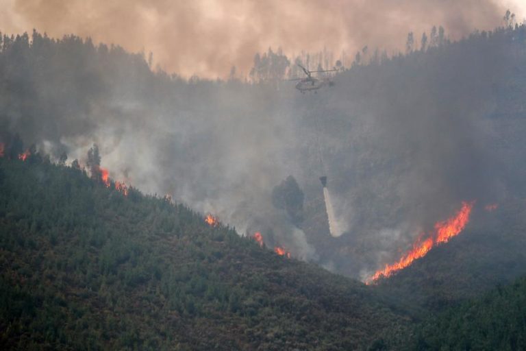 Fogo de Arganil entrou na Pampilhosa da Serra em duas frentes