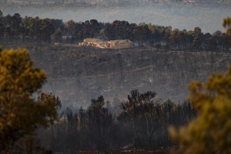 Governo espanhol diz que fogos já queimaram 35.400 hectares de terrenos agrícolas