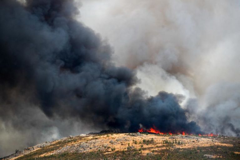 IL acusa Governo de responder com paliativos aos incêndios e de falhar na prevenção