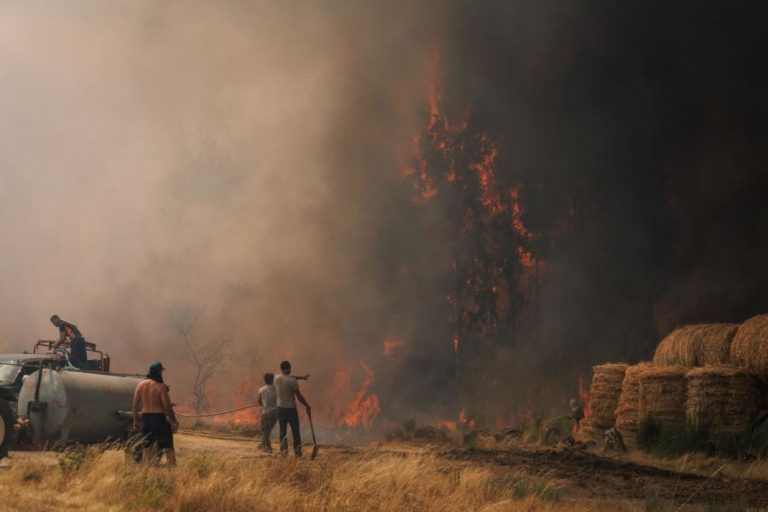 Cerca de 130 concelhos do interior Norte e Centro e Algarve em risco máximo de incêndio