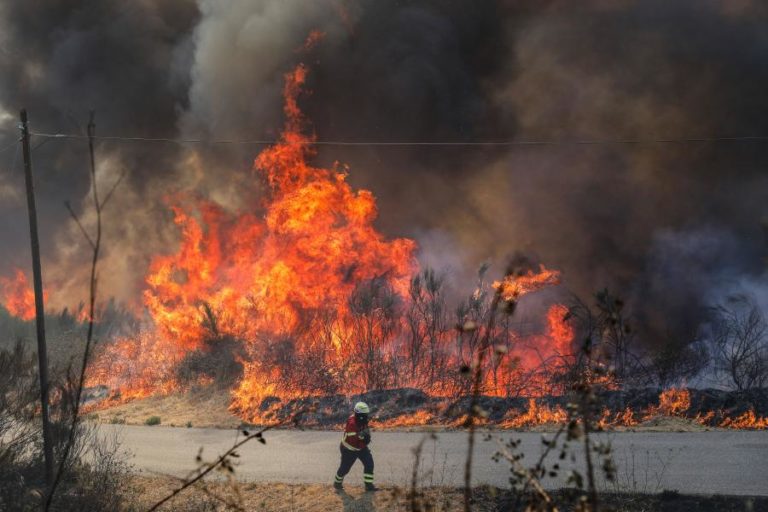 Mais de 50 concelhos em perigo máximo de incêndio