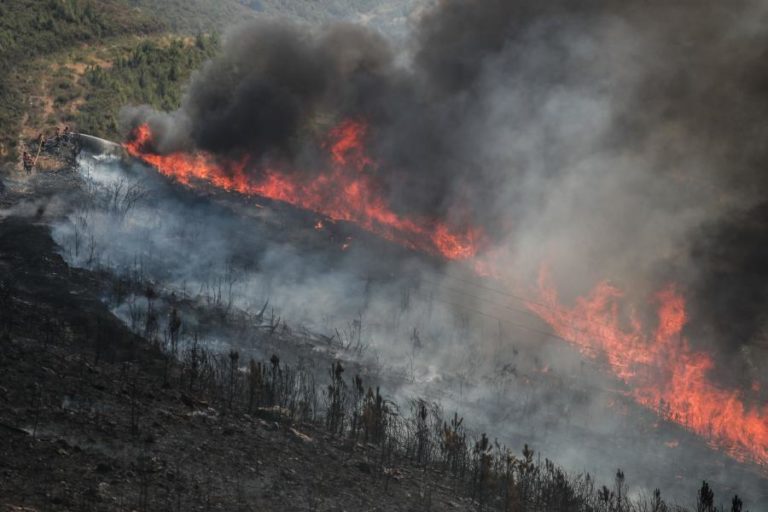 Cerca de 60 concelhos em perigo máximo de incêndio