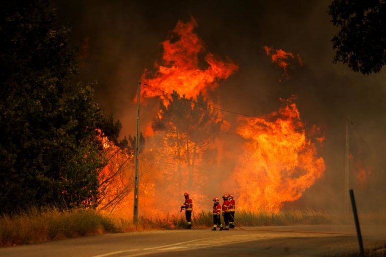 Mais de cem concelhos do Norte, Centro e Algarve em risco máximo de incêndio