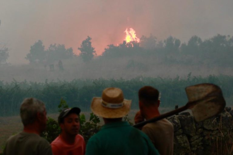 Sabugal avança com pedido de situação de calamidade na sequência dos incêndios