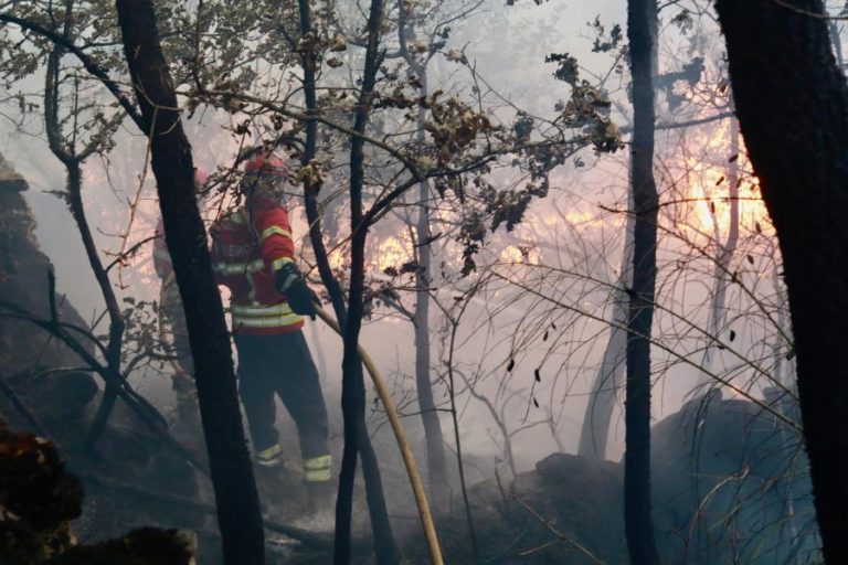 Mais de 3.200 operacionais combatiam nove principais incêndios às 08:00