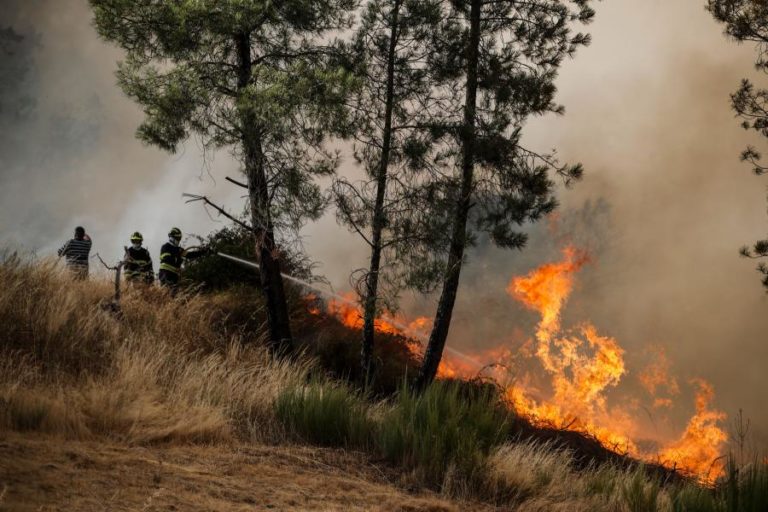 Mais de 80 concelhos do interior Norte e Centro e Algarve em risco máximo de incêndio