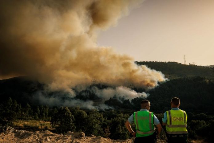 45497517.JPG
