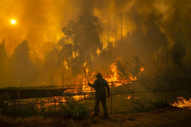 Fogos em Espanha queimam áreas protegidas e habitats de espécies ameaçadas