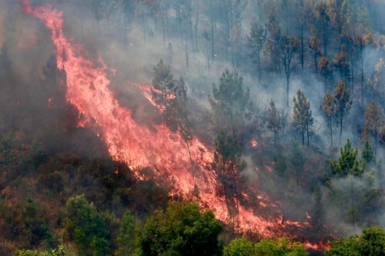 Fogo no Fundão tem três frentes ativas