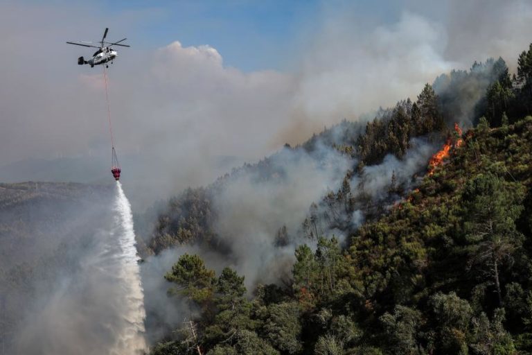 Aprovado debate extraordinário sobre incêndios com Montenegro no parlamento na próxima quarta-feira