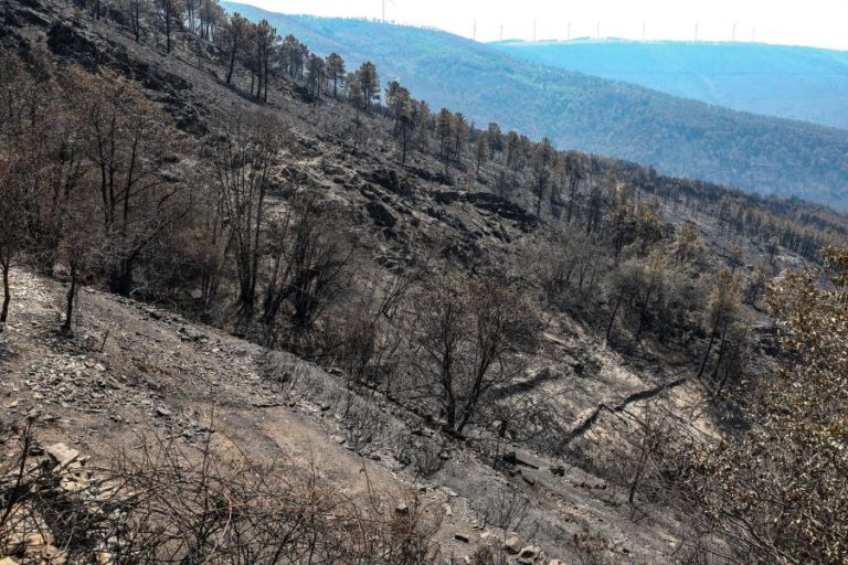Mais de 40 concelhos em perigo máximo de incêndio