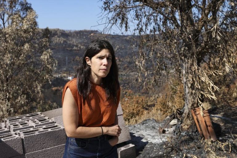 Bloco de Esquerda anuncia que vai pedir uma comissão de inquérito aos incêndios
