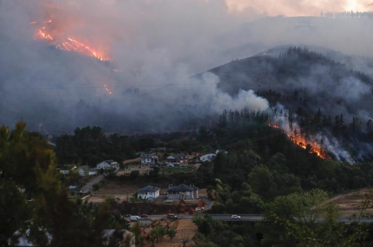Espanha declara zona de catástrofe áreas afetadas por 113 grandes fogos