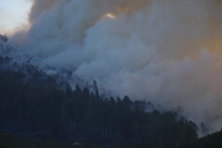 Espanha já mobilizou 5.600 efetivos e 2.000 meios das Forças Armadas