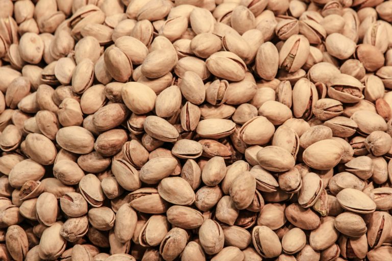 Surto de salmonela associado a pistácios já infetou mais de 50 pessoas no Canadá