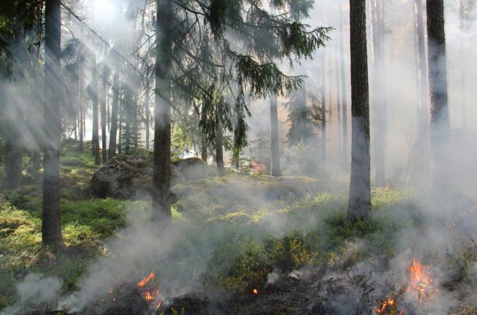 B4-01-VT INCENDIOS SEM PRECEDENTES RS 082625