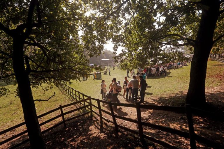 Festa do Outono regressa no fim de semana a Serralves com 150 atividades gratuitas