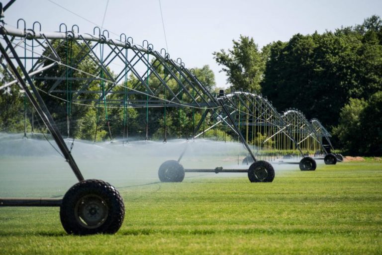 Bruxelas promete salvaguardar agricultores em acordo com Mercosul que aumentará exportações em 39%