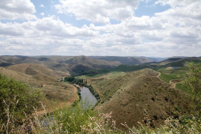 Arqueólogos encontram vestígios de presença humana com mais de 26 mil anos no Vale do Côa