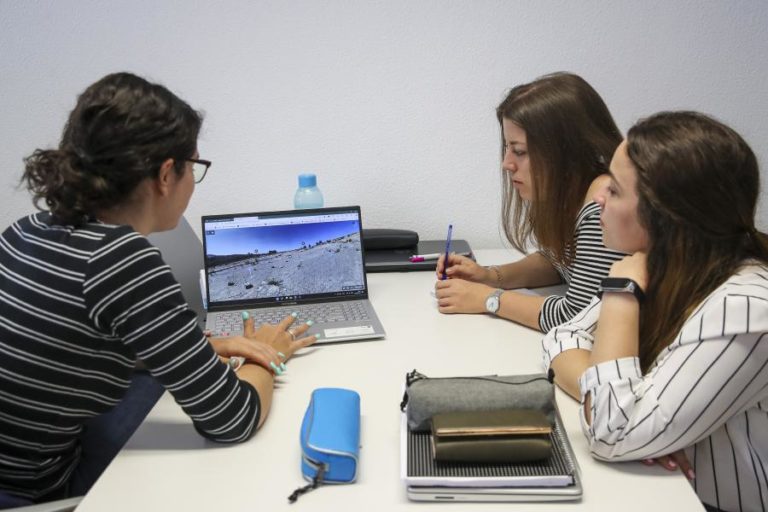 Apenas metade dos candidatos à 2.ª fase ficou colocada no ensino superior