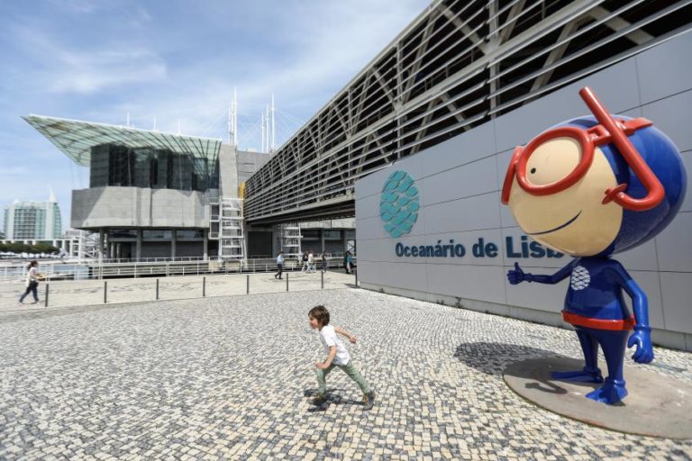 Oceanário de Lisboa reabre “casa” dos pinguins quase um ano depois