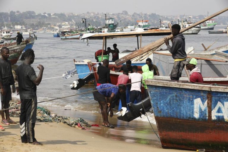 Angola regista prejuízos anuais de 500 milhões de dólares com pesca ilegal