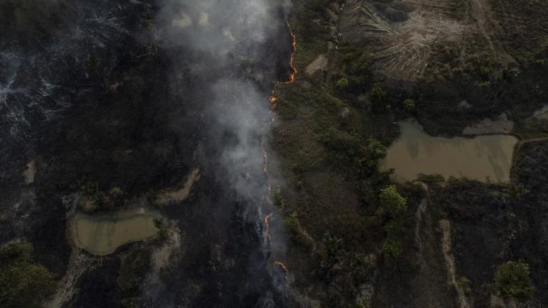 Amazónia evapora 20 mil milhões de toneladas de água por dia — investigador